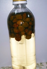 12ペットボトルで作る　小梅の梅シロップ