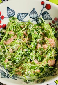 豆苗と鮭フレークのサラダ