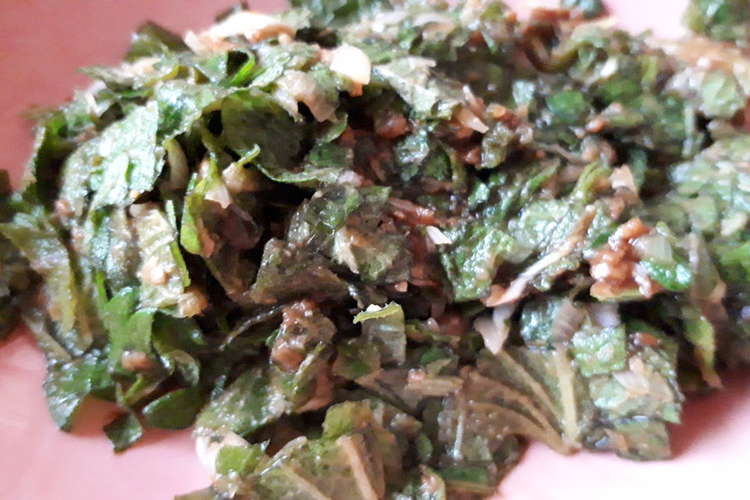 青じその大量消費にすぐできる レシピ 作り方 By くまったここ クックパッド 簡単おいしいみんなのレシピが355万品