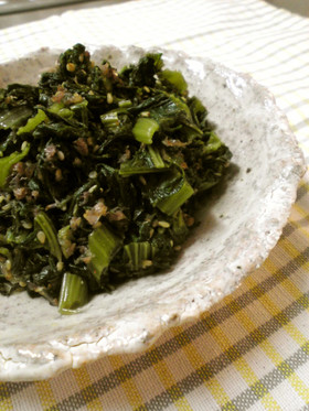 万能✿自家製高菜炒め✿
