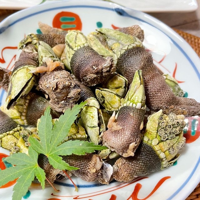 亀の手の塩茹で レシピ 作り方 By Marimi5 クックパッド 簡単おいしいみんなのレシピが361万品 亀の手の塩茹で レシピ 作り方 By Marimi5 クックパッド 簡単おいしいみんなのレシピが361万品