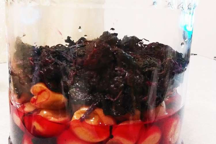梅干し用の紫蘇の作り方 レシピ 作り方 By りくちゃん クックパッド 簡単おいしいみんなのレシピが364万品