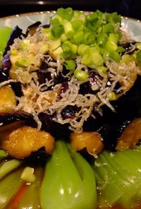 揚げ茄子と青梗菜の中華風サラダ