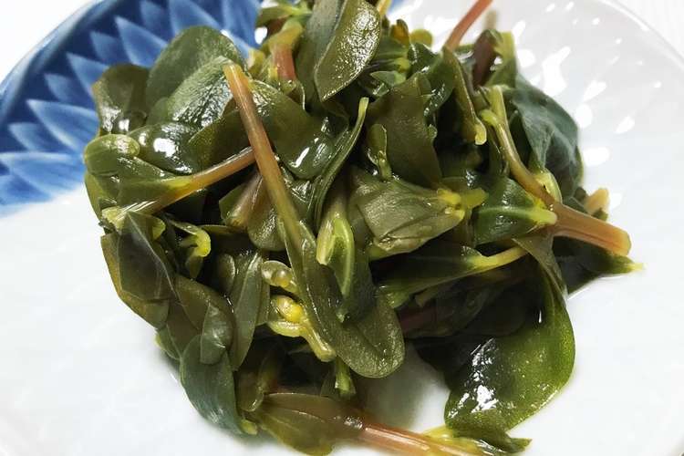 ひょう という雑草がオススメです レシピ 作り方 By Yama1016 クックパッド 簡単おいしいみんなのレシピが357万品