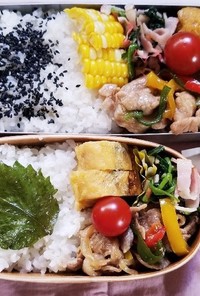 豚肉パプリカ炒め弁当(6.28)