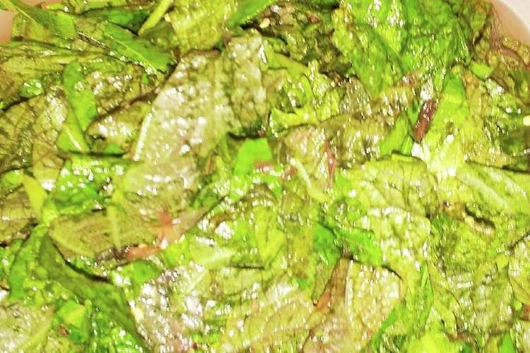 大葉大量消費 梅 おかか和え レシピ 作り方 By ダイエッターひさ子 クックパッド 簡単おいしいみんなのレシピが355万品