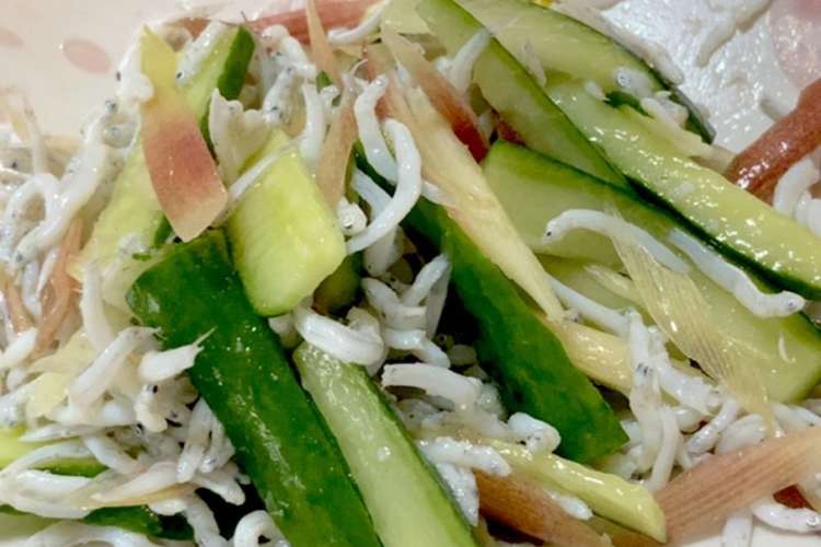 みょうがときゅうり しらすの和物 レシピ 作り方 By クックlk2ohw クックパッド 簡単おいしいみんなのレシピが361万品