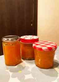 みんなが作ってる 杏の実のレシピ クックパッド 簡単おいしいみんなのレシピが357万品