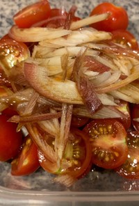 【簡単作り置き】トマトと茗荷の和風サラダ