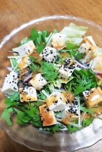 豆腐の味噌ドレッシングサラダ