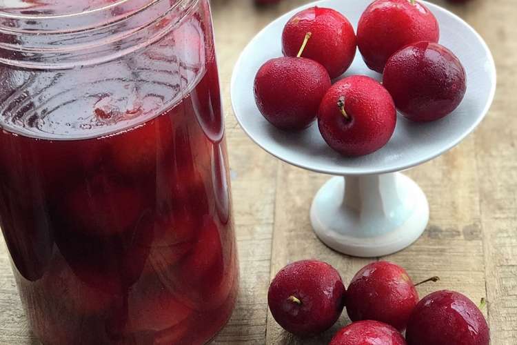 スモモ酢 レシピ 作り方 By みつばちハッピ クックパッド 簡単おいしいみんなのレシピが376万品