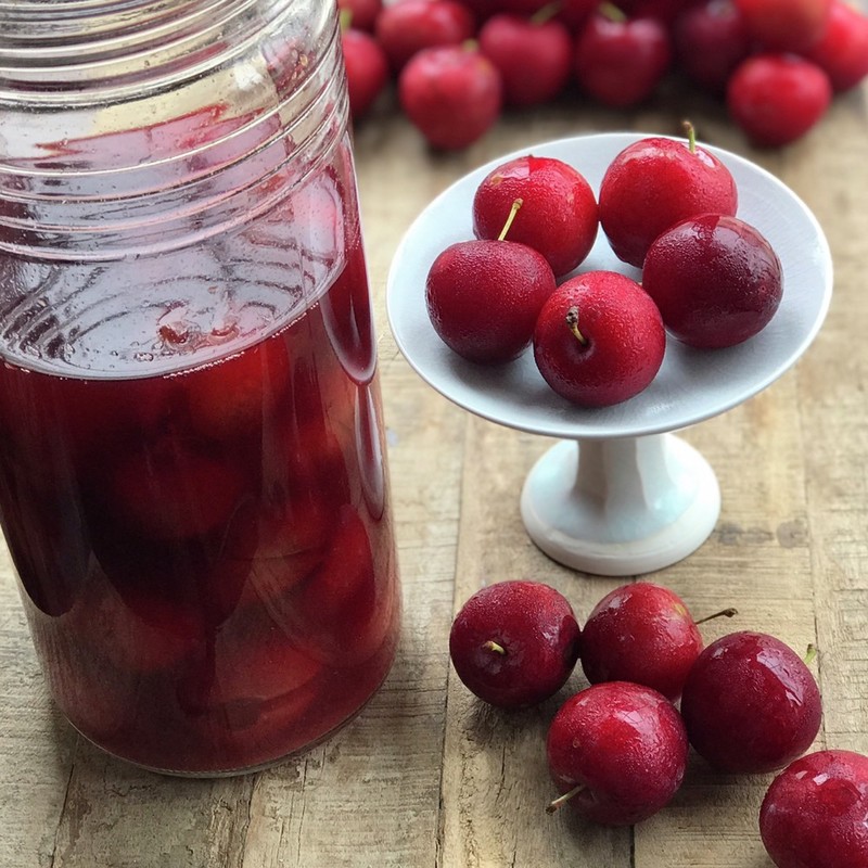 みんなの すもも酢 レシピが18品 クックパッド