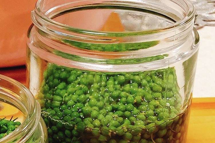 実山椒の醤油漬け レシピ 作り方 By Purelotus クックパッド 簡単おいしいみんなのレシピが366万品