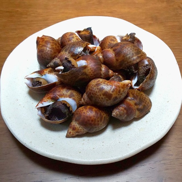 圧力鍋でやわらか ばい貝の料亭風 煮つけ レシピ 作り方 By 及川真愛弥 クックパッド 簡単おいしいみんなのレシピが364万品