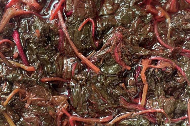 梅干し用 塩揉みをしない赤紫蘇の処理 レシピ 作り方 By ひーこ165 クックパッド 簡単おいしいみんなのレシピが364万品