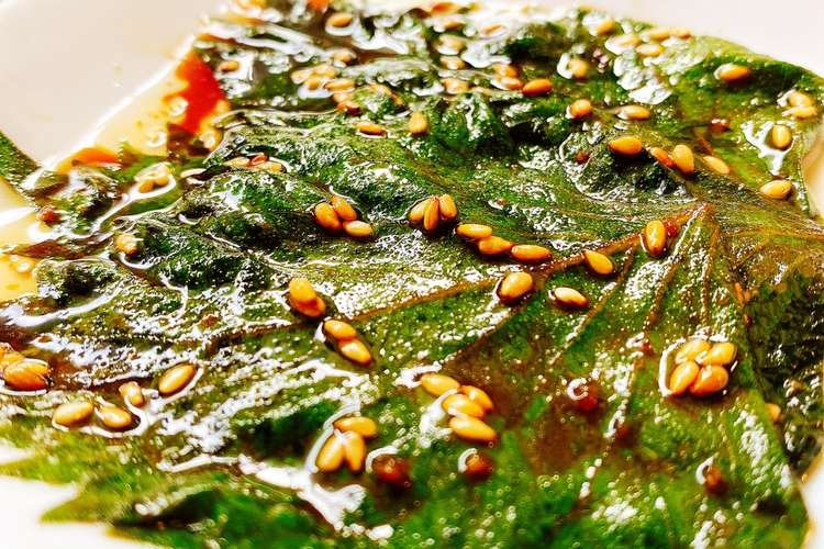 ごま油香る 大葉のにんにく醤油漬け レシピ 作り方 By 野菜ソムリエmiwa クックパッド 簡単おいしいみんなのレシピが374万品