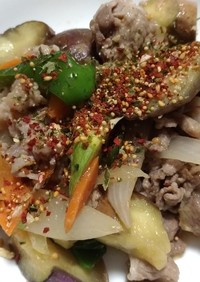豚肉と夏野菜の味噌炒め+HIFUMI