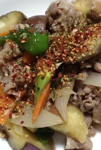豚肉と夏野菜の味噌炒め+HIFUMI