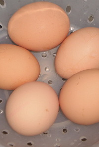 冷たい卵を数分で室温に戻す（？）方法