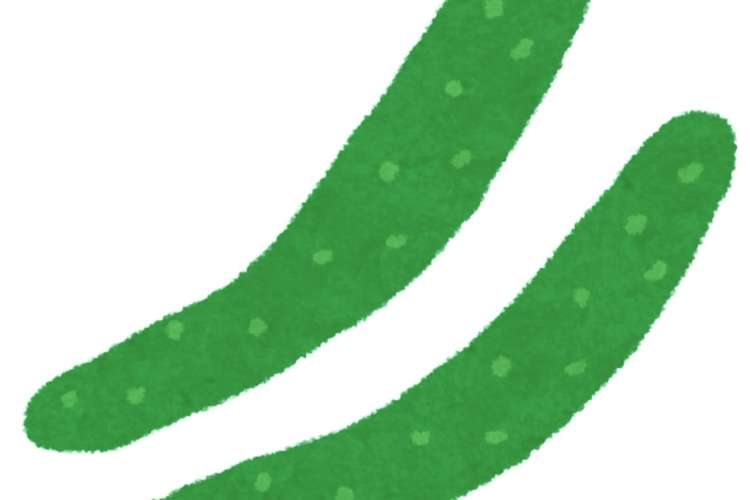 きゅうりトマトめんつゆサラダ レシピ 作り方 By Yuumiinn クックパッド 簡単おいしいみんなのレシピが356万品