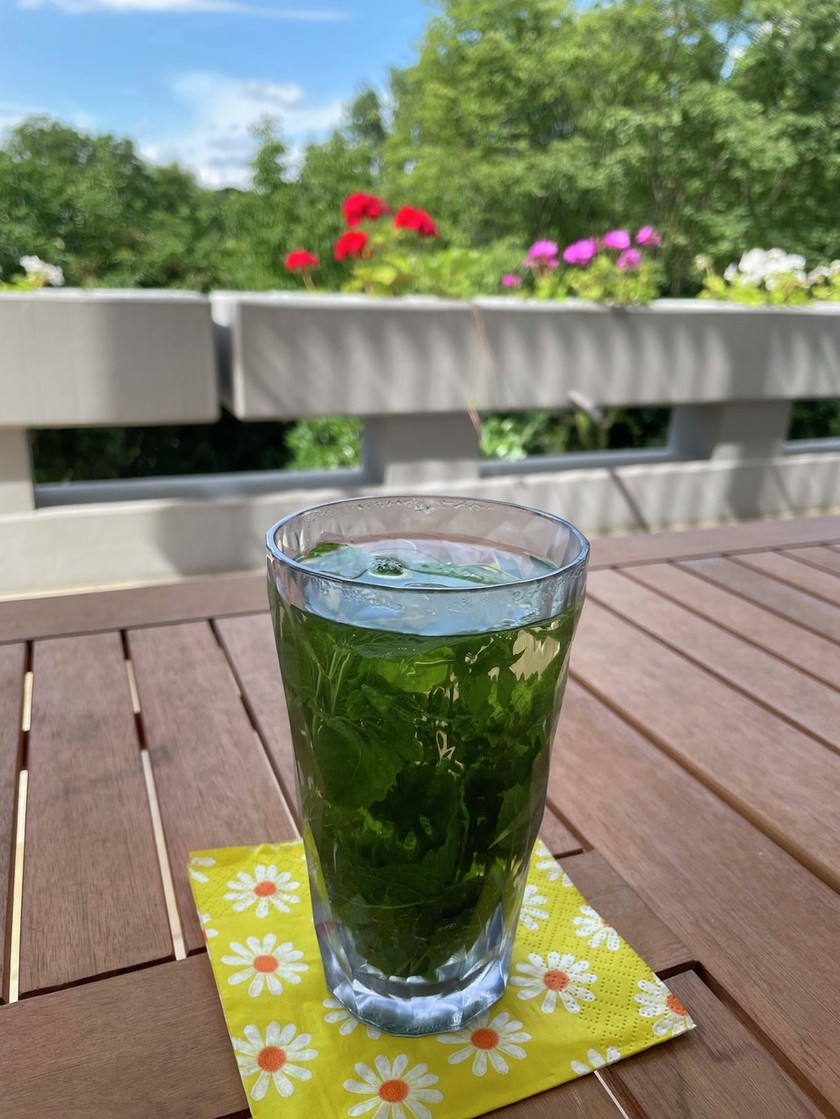 ミントティーのレシピ