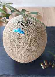 みんなが作ってる メロン 切り方のレシピ クックパッド 簡単おいしいみんなのレシピが358万品