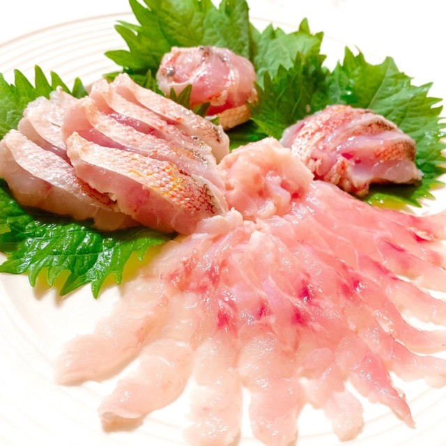 甘鯛の刺身 アマダイの捌き方 松皮造り レシピ 作り方 By 1cchie クックパッド 簡単おいしいみんなのレシピが356万品 甘鯛の刺身 アマダイの捌き方 松皮造り レシピ 作り方 By 1cchie クックパッド 簡単おいしいみんなのレシピが356万品