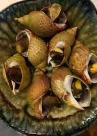 みんなが作ってる バイ貝 居酒屋のレシピ クックパッド 簡単おいしいみんなのレシピが361万品