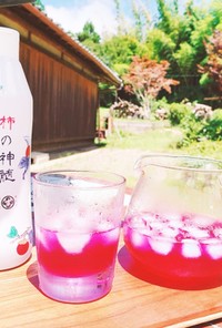 夏を元気に！柿の神髄でつくる紫蘇ジュース