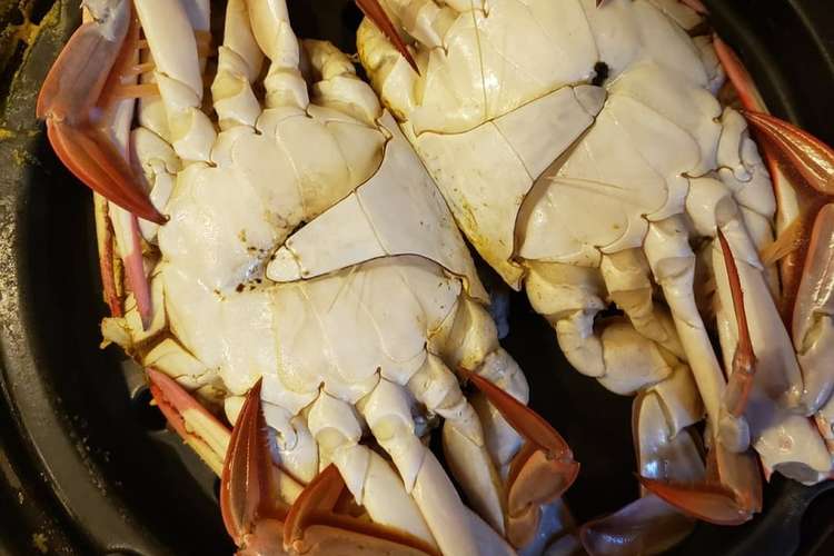 おつまみに 蒸しワタリガニ レシピ 作り方 By 92食堂 クックパッド 簡単おいしいみんなのレシピが366万品