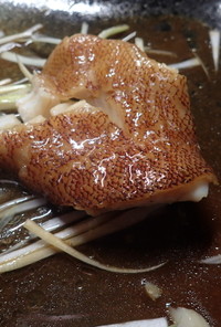 アカハタの清蒸鮮魚(清蒸石斑魚)