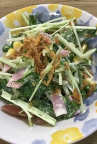 水菜のコールスローサラダ