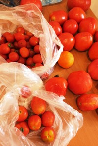 トマトジュースの作り方&保存
