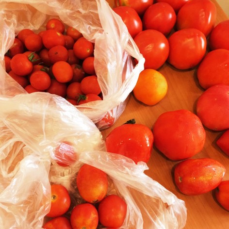 トマトジュースの作り方&保存