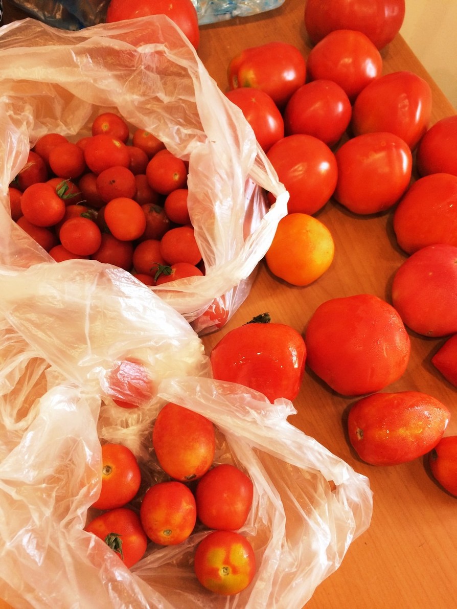 トマトジュースの作り方&保存の画像