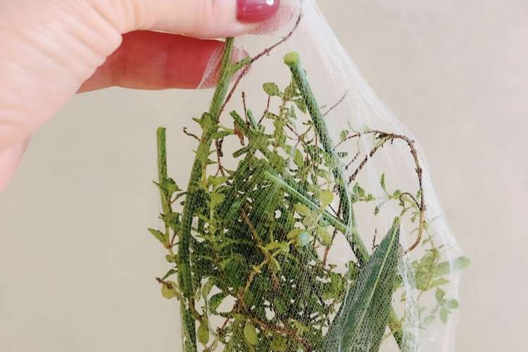 雑なブーケガルニ レシピ 作り方 By たすじゅうnori クックパッド 簡単おいしいみんなのレシピが376万品