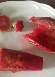 みんなが作ってる サボテンのレシピ クックパッド 簡単おいしいみんなのレシピが357万品