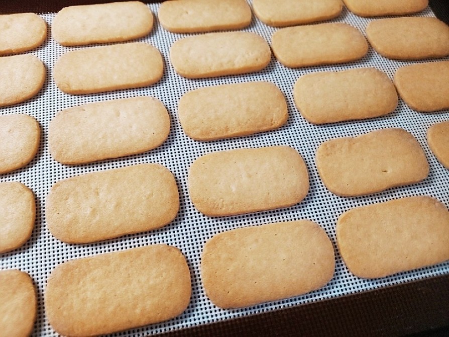 【完全再現】 札幌農学校 ミルククッキーの画像