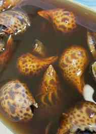 みんなが作ってる バイ貝 居酒屋のレシピ クックパッド 簡単おいしいみんなのレシピが361万品