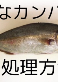 初心者が初めて捌く カンパチの下処理方法 レシピ 作り方 By ミチェラン曹長 クックパッド 簡単おいしいみんなのレシピが359万品