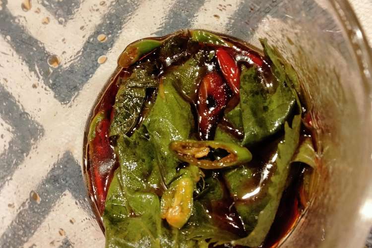 大葉のピリ辛酢醤油漬け 大葉の大量消費 レシピ 作り方 By ドラえぽん クックパッド 簡単おいしいみんなのレシピが361万品