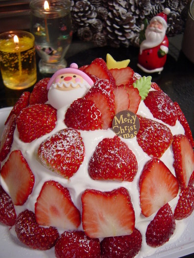 クリスマスケーキ苺ズコット(インスタ映えの写真