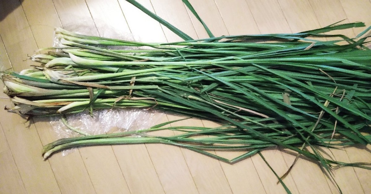 レモングラスの処理と保存 レシピ 作り方 By Mana07mana クックパッド 簡単おいしいみんなのレシピが361万品