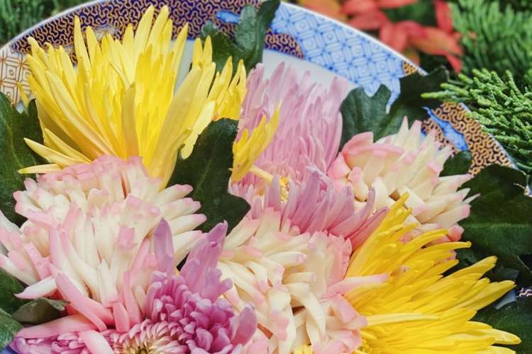 かまぼこで作る菊の花 重陽の節句のお祝い レシピ 作り方 By かまぼこママ クックパッド 簡単おいしいみんなのレシピが370万品