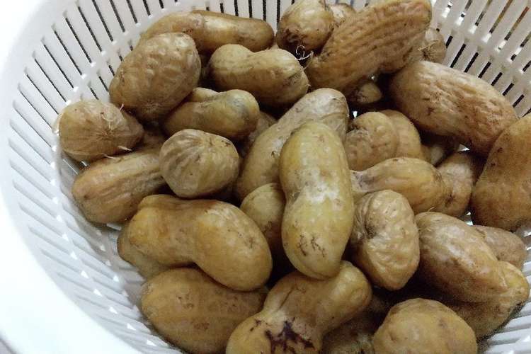 生落花生 おおまさり の茹で方 レシピ 作り方 By クックちゃる クックパッド 簡単おいしいみんなのレシピが367万品