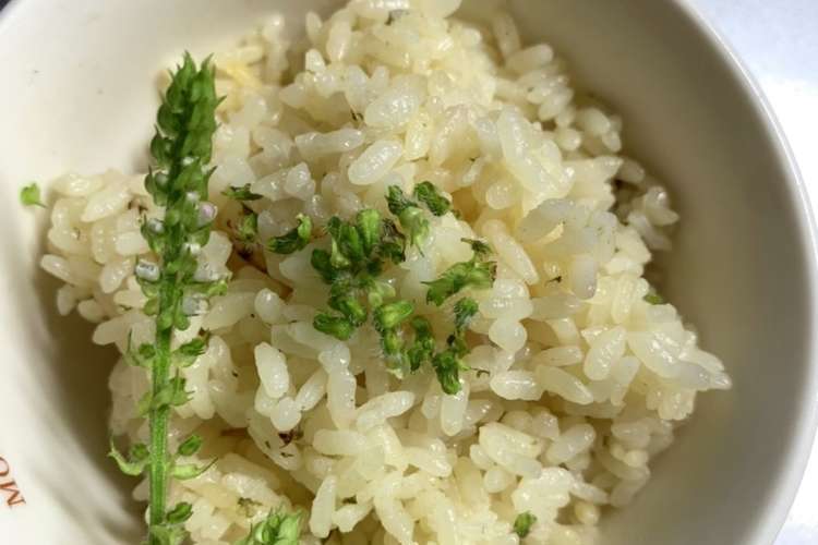 香りよい穂紫蘇のご飯 レシピ 作り方 By シーナス ケニー クックパッド 簡単おいしいみんなのレシピが374万品
