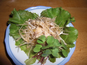 鶏皮と白ネギの和え物