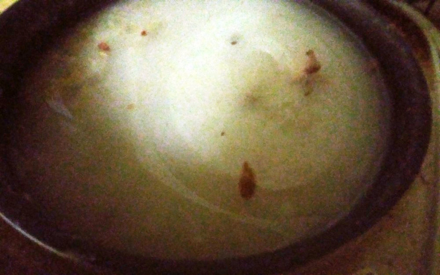 ■玄米発酵飲料と塩糀風調味料　桜塩漬け入の画像