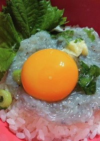 生しらす丼
