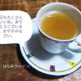 Ccとmlの違い クックパッド料理の基本